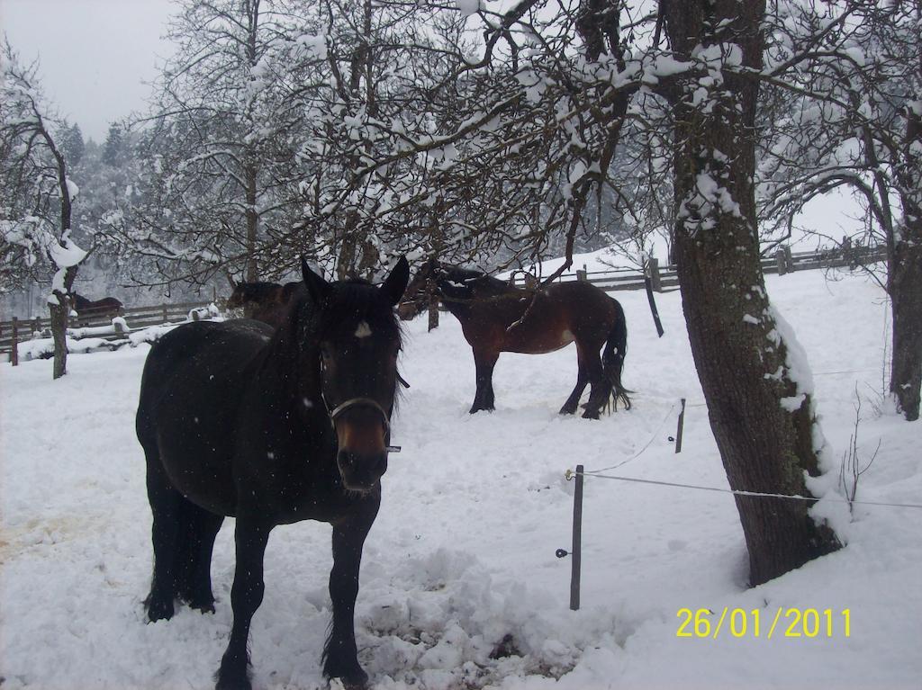 شقق Oberhof واغراين المظهر الخارجي الصورة