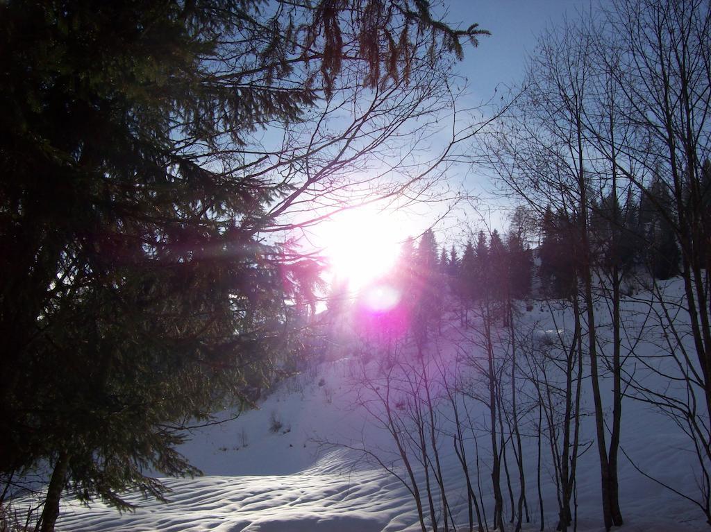 شقق Oberhof واغراين المظهر الخارجي الصورة
