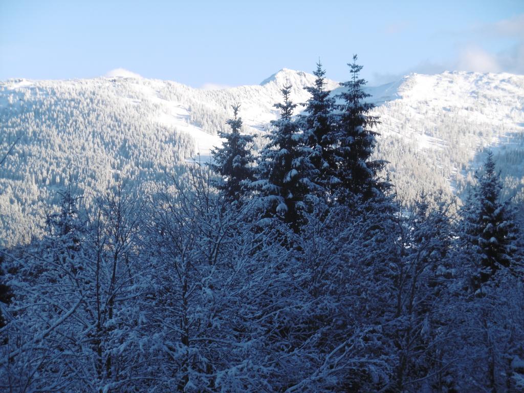 شقق Oberhof واغراين المظهر الخارجي الصورة